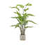 107cm Faux Fern Plant in Cement Pot