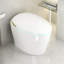 Toilette intelligente unique avec bidet intégré, siège à ouverture / fermeture automatique et eau chaude, assurant hygiène et confort pour les salles de bain modernes.-131514097