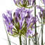 120cm Faux Plant in Pot-111171141-111171144