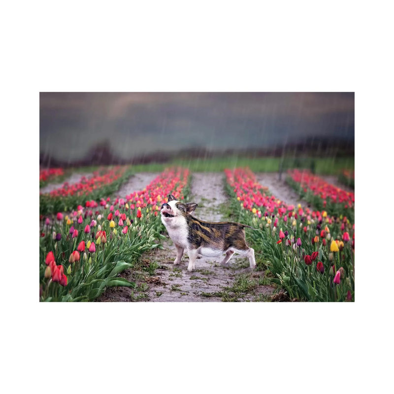 Chip Pure Joy by Karen Burke - Wrapped Canvas Print, 20.32cm H x 30.48cm W x 1.905cm D