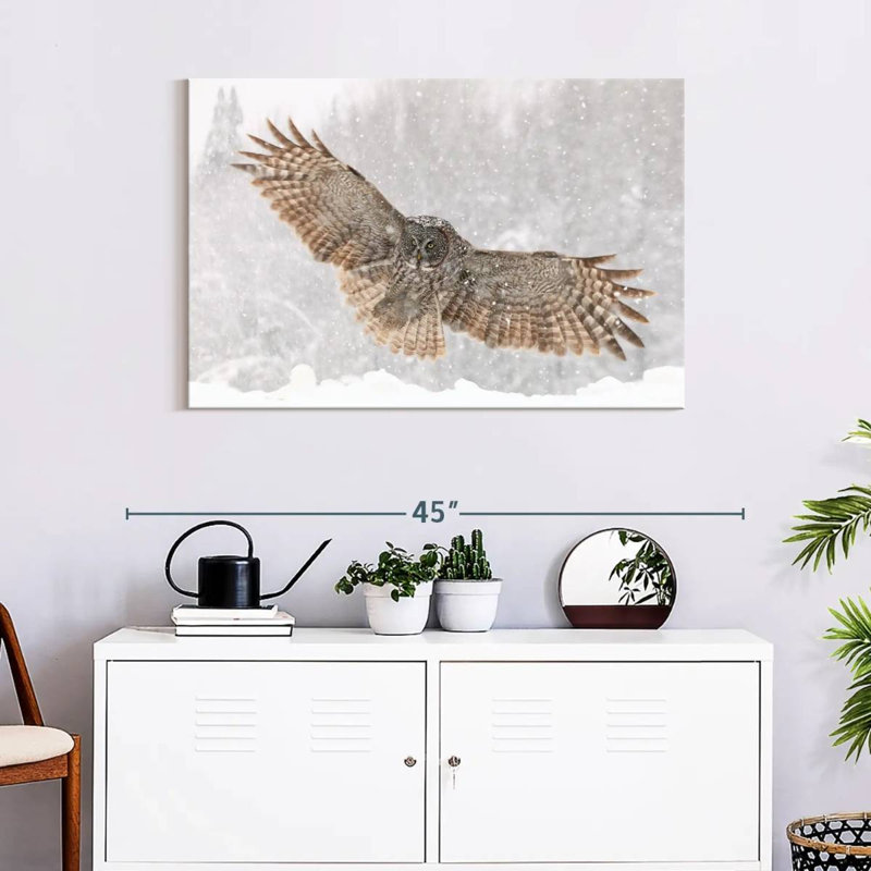 Brampt Blizzard Owl, 24" H x 36" W