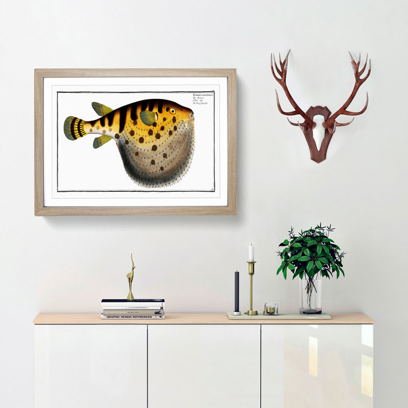 Pufferfish by M.E. Bloch - Framed Print, 48cm H x 65cm W x 2cm D, Oak Framed