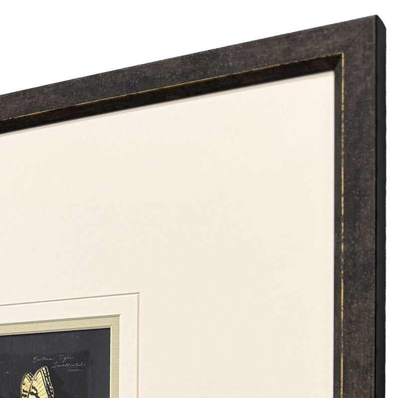 Petite Wonders III Framed Art