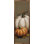 Two Pumpkins