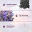 Arbre de Noël 7,5 pi avec un arbre de Noël pré-éclairé et dégradé noir-352575154-352575158