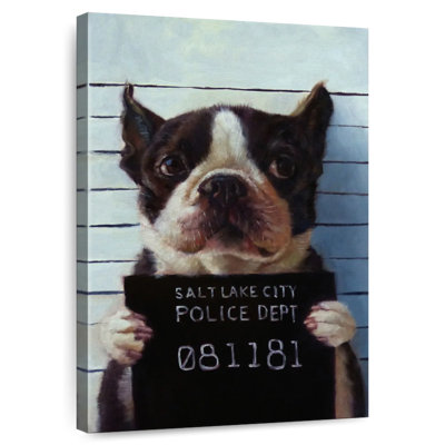 Ketti Mug Shot