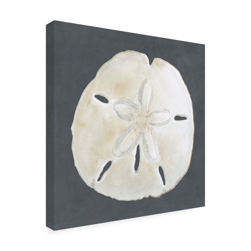 Toile d'extérieur «Shell on Slate II» Macau Megan Meagher, H 18 po x l 18 po x P 1,5 po