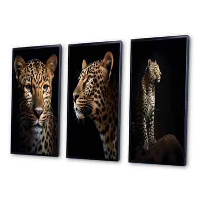 " Stunning Portrait Of Leopard Wildlife " 3 - Pieces