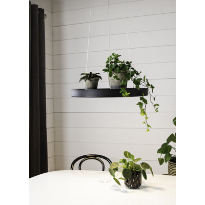 Wellings 1 - Light LED Unique/Statement Pendant