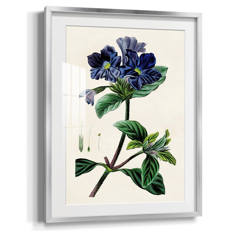 " In The Moment I ", Silver Framed Paper, White