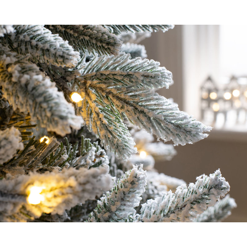 Green Artificial Christmas Tree Clear/White Lights with Stand, 5ft H x 3.17ft W x 3.17ft D