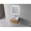 Meuble-lavabo sophistiqué avec portes à fermeture douce et rangement abondant