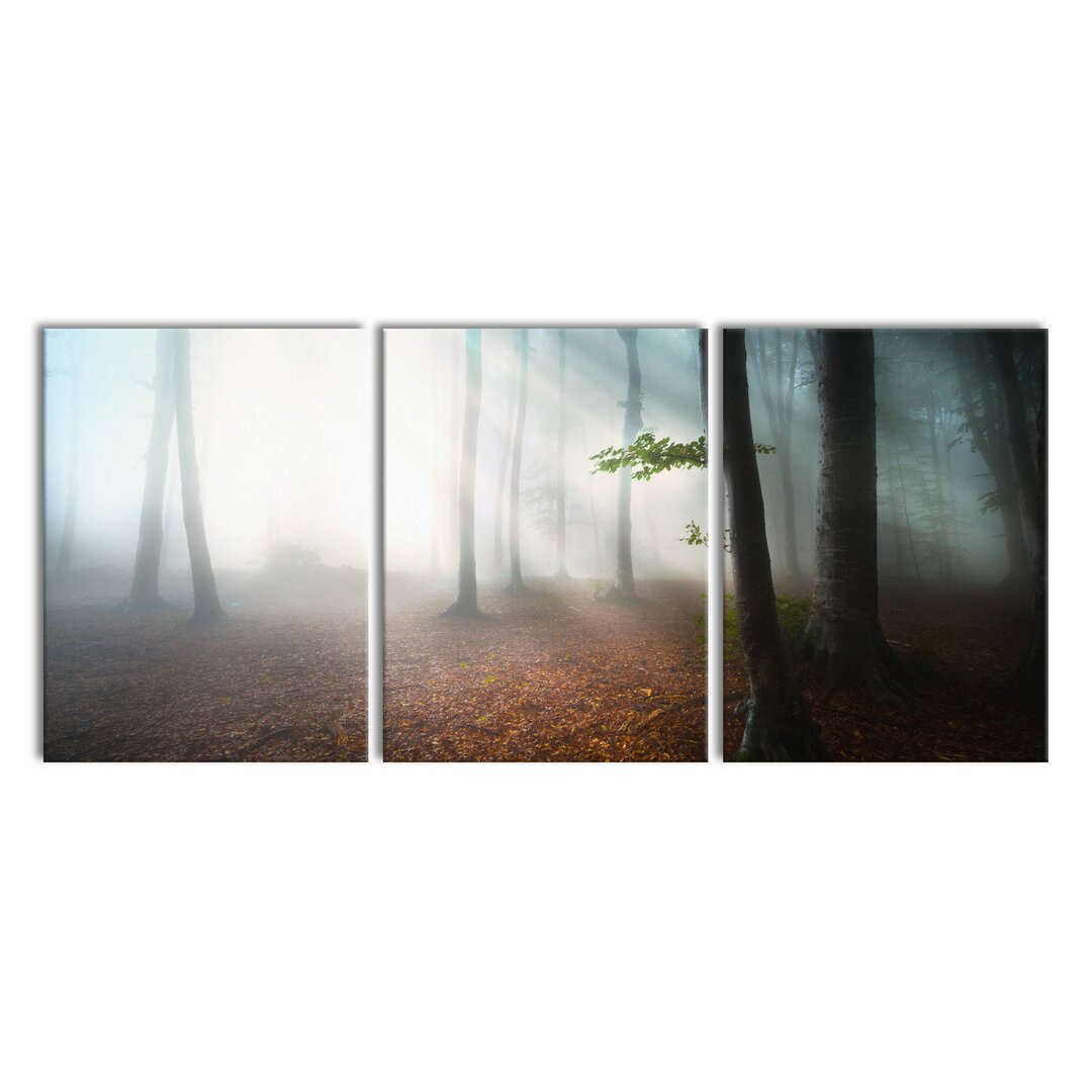 3-tlg. Leinwandbilder-Set Dark Misty Forest