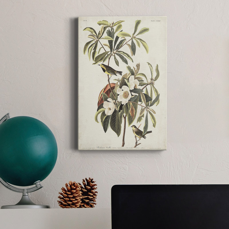 Pl 185 Bachman's Warbler - Reproduction sur toile tendue, H 27 po x l 18 po x P 1 po