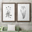 Inky Botanical I - ensemble de 2 peintures-1624088048-1624088055