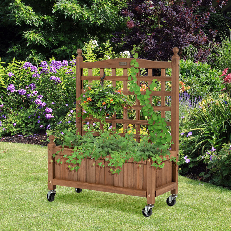 Boîte à fleurs en bois avec treillis Brigetta, 1