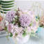 Peony Arrangement-173341931
