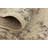 Tobitha Oriental Indoor Rug-1704774586