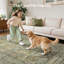 Boho Light Ultra-Thin Low-Pile Machine Washable Area Rug-2039799092-2033910570