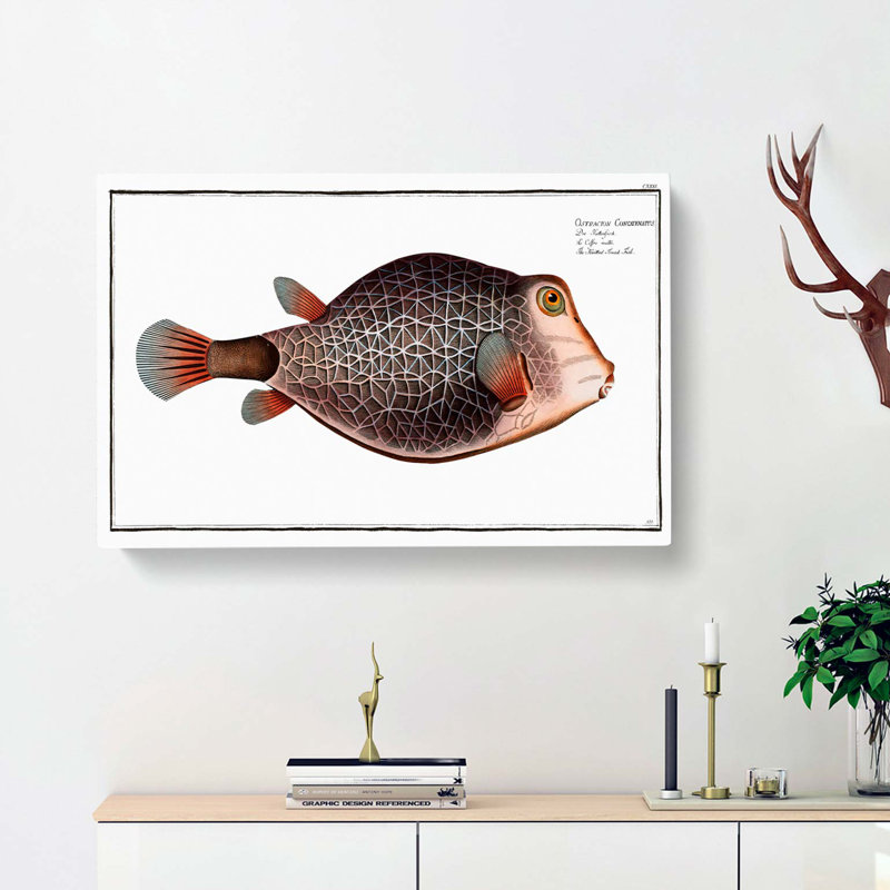 Knitted Trunk-Fish by M.E. Bloch - Wrapped Canvas, 35cm H x 50cm W x 3cm D