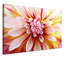 Wrapped Canvas Print-21592541