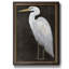 «White Heron Portrait II», peinture sur toile encadrée-1207658153