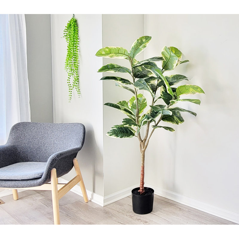 Faux Rubber Plant in Pot, 60" H x 24' W x 24" D