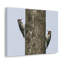 No Frame Print on Canvas-887198241