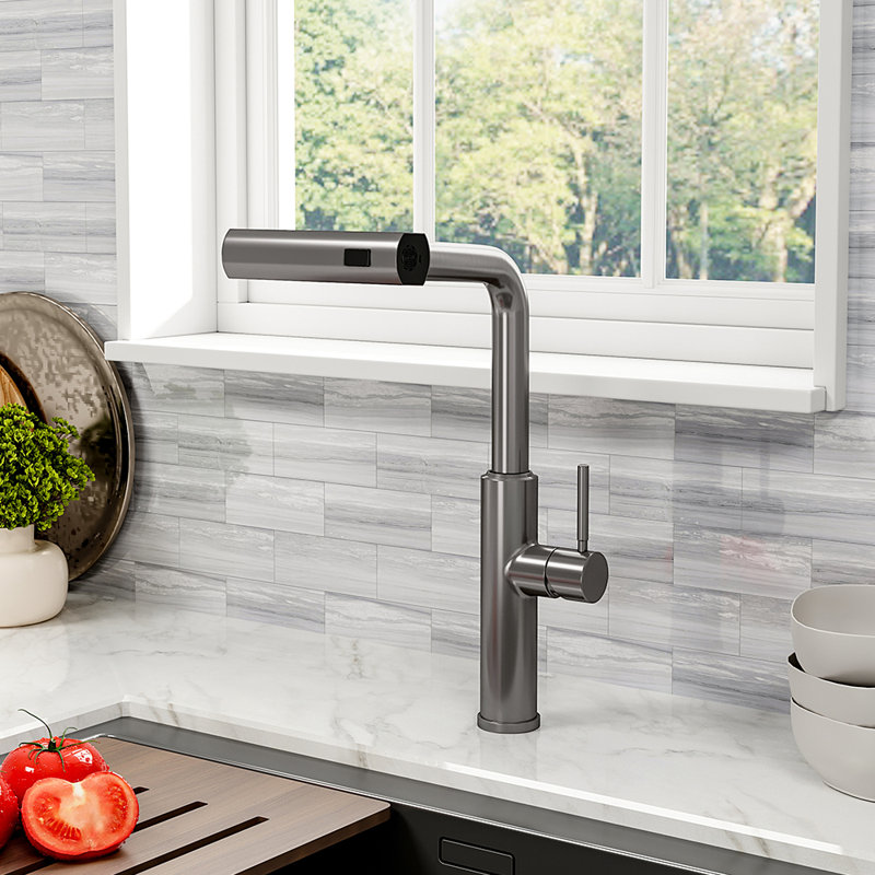 Belfry Kitchen Mallouk Pull Out Kitchen Faucet, Chrome