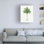 «Les Palmiers Histoire Ii Areca Monostachya», art sur toile