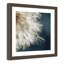 Edgemont «Dandelion Dreams III», impression encadrée