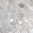 Conchella Mini Penny White 11-1/2" x 11-5/8" Natural Shell Mosaic Wall Tile