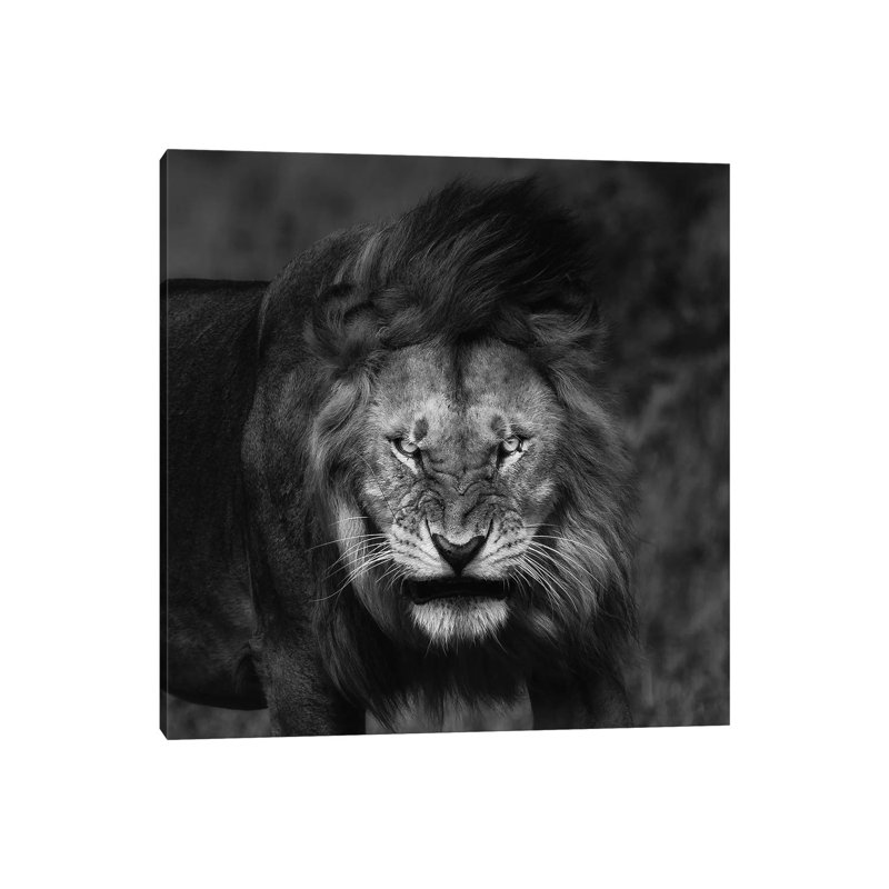 Rough Look by Mohammed Alnaser - Wrapped Canvas Gallery-Wrapped Canvas Giclée, 30.48 cm H x 30.48 cm W