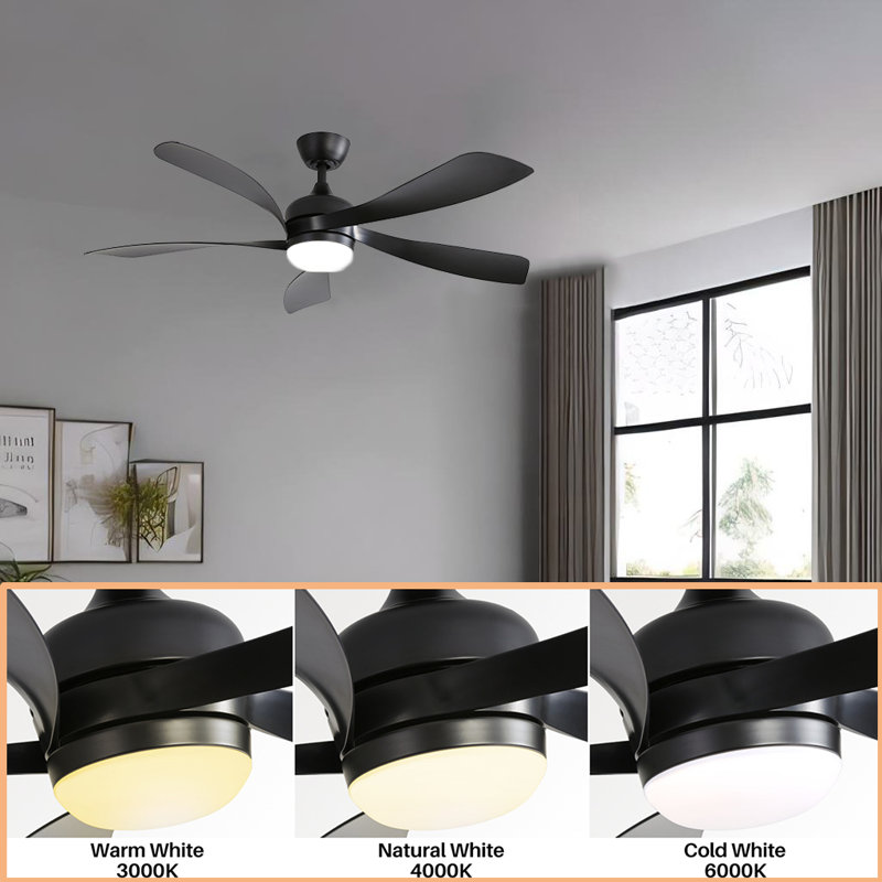 Ventilateur de plafond 52 po avec lumières DEL Loammi, Noir, Noir