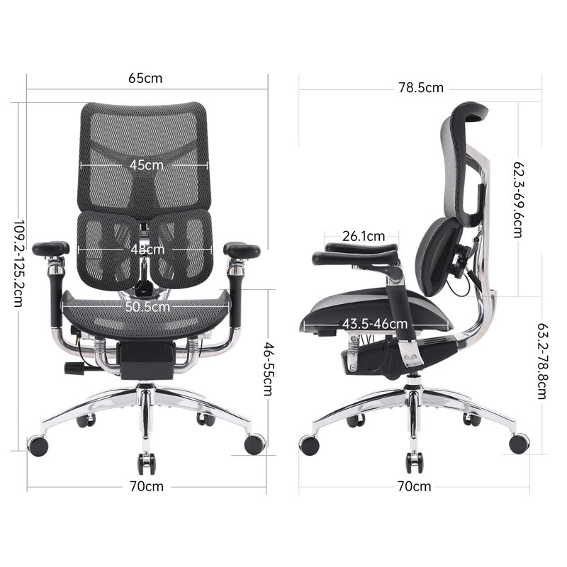 Ergonomic Office Chair, with Dual Dynamic Lumbar Support, 6D Coordinated Armrest, Black/Silver, Black
