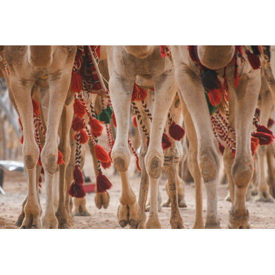 Camel Caravan by OmerWael - Wrapped Canvas Print