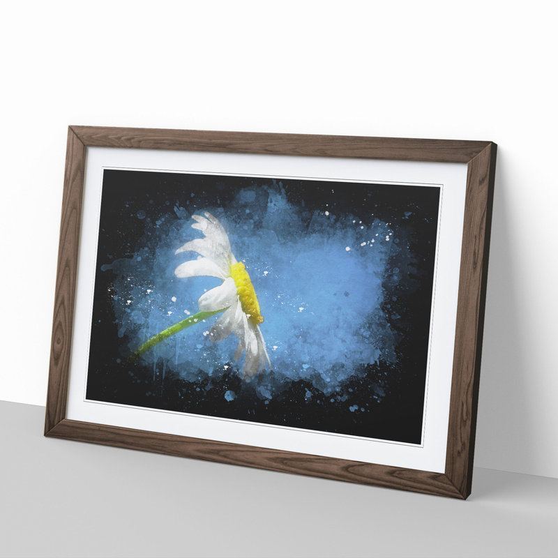 White Daisy Flower - Picture Frame Graphic Art, Walnut Framed, 27cm H x 36cm W x 2cm D