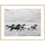 Horse Run I par PHBurchett - Photographie avec cadre photo-731046621-731046562