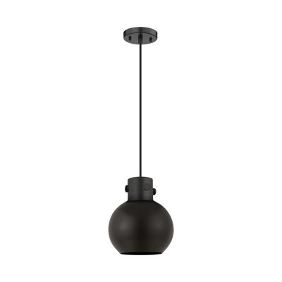 Newton 1 - Light Single Drop Pendant Pendant