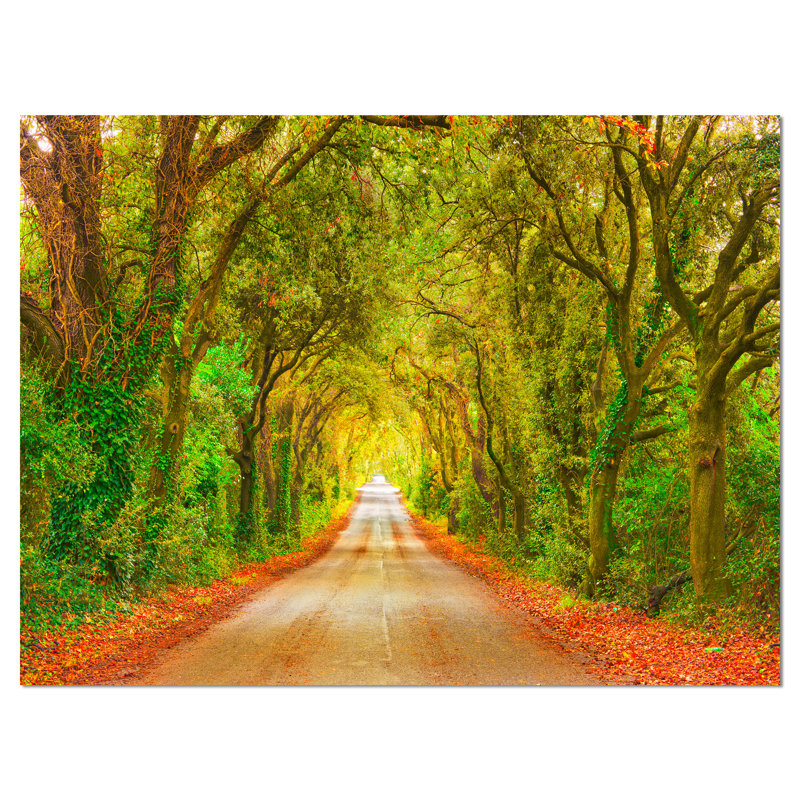 «Fall Greenery and Road Straight Ahead», impression, H 20 po x l 40 po x P 1po, Toile tendue