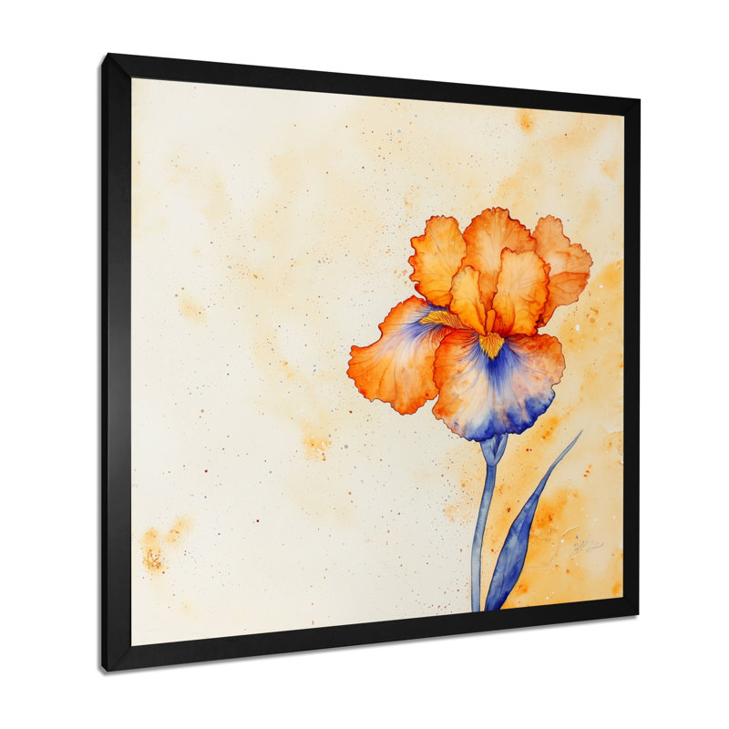 Mauve et orange, rêve éternel d'Iris I - Art mural iris, Reproduction encadrée d'une seule photo sans pass, Noir