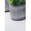 Bethke Metal Pot Planter