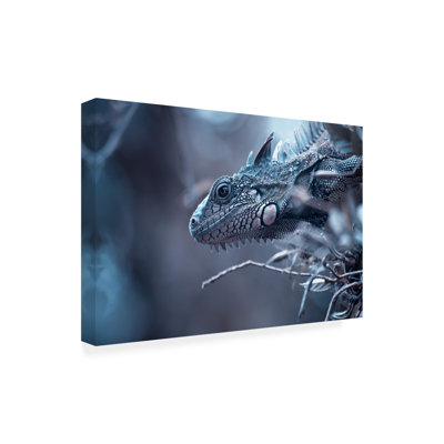 Art sur toile «bolivien Fabien BRAVIN Iguana Vista»