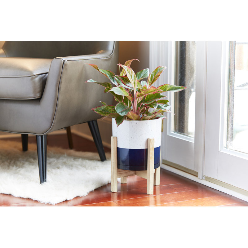 Pot à fleurs avec support en bois et soucoupe attachée Henrietta