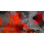 Indio by Parvez Taj - Wrapped Canvas Painting-12309553