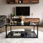 Alamance Frame Coffee Table with Storage-1896056141