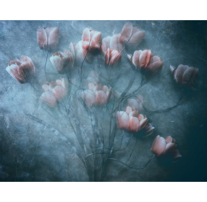 Wrapped Canvas Print, 50.8cm H x 76.2cm W