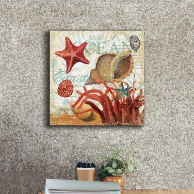 'Shell Collector 1i' by Art Licensing Studio Canvas Wall Art