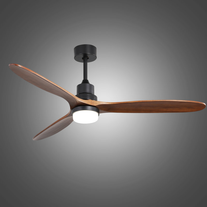 Nicola 60" 3-Blade Black Ceiling Fan With Led Light and Remote Control
