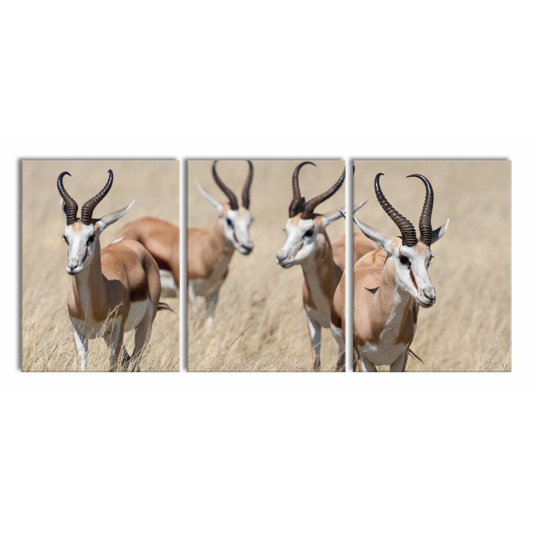 3-tlg. Leinwandbilder-Set Antelopes in the Savannah